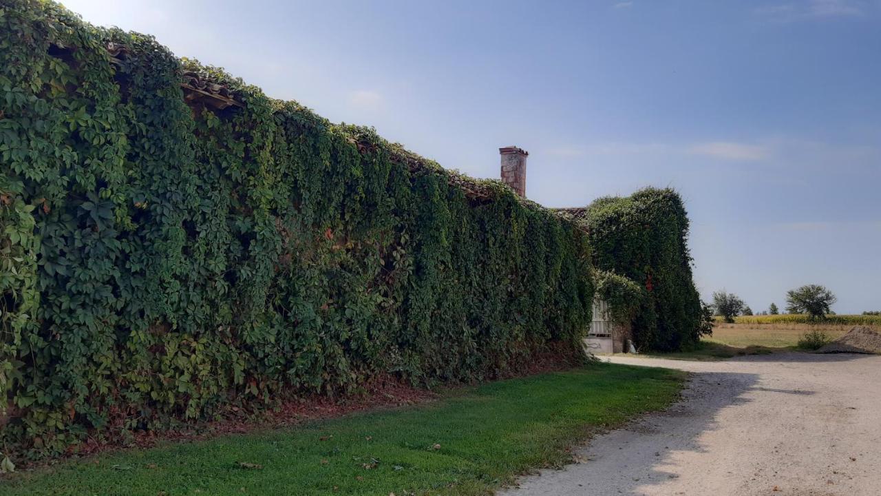 B&B Santa Cristina Монтикири Екстериор снимка